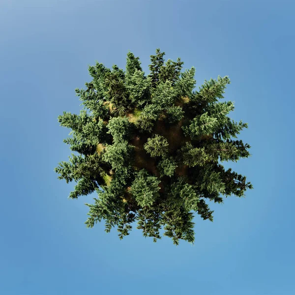 Weergave Van Little Planet Forest Tegen Blauwe Lucht — Stockfoto