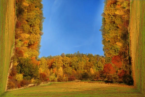 Laub Und Nadelwald Herbstfarben Mit Biegeeffekt — Stockfoto