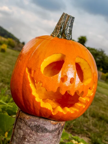 Jack-o-lantern pumpkin — Stock Photo, Image