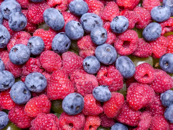 Frambuesas y fresas Imagen de archivo