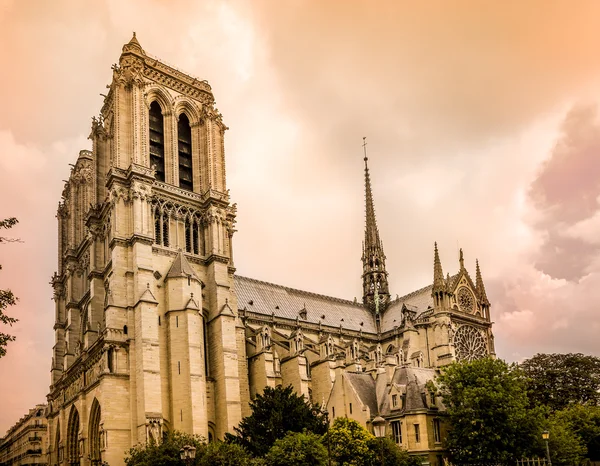 Notre Dame Cathedral — Stock Photo, Image