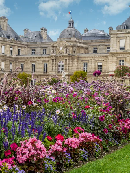 Luxembourgträdgården, paris, Frankrike — Stockfoto