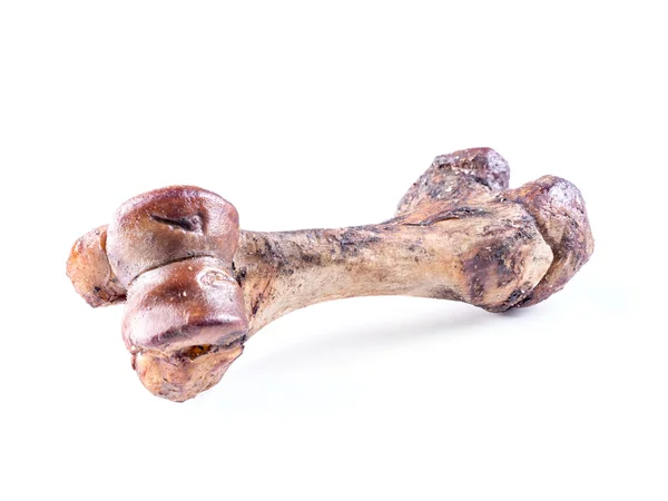 Beef bone — Stock Photo, Image
