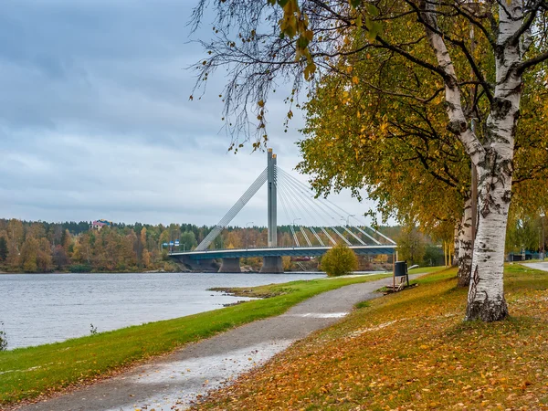 Outono paisagem com ponte — Fotografia de Stock
