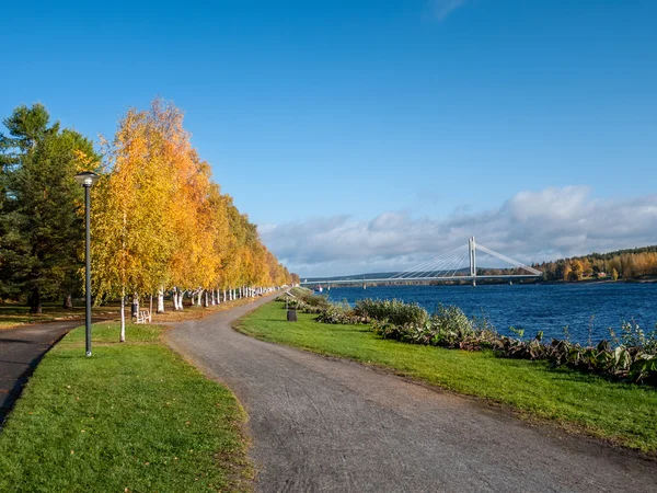 Outono paisagem com ponte — Fotografia de Stock