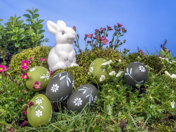 Conejo de Pascua y huevos pintados —  Fotos de Stock