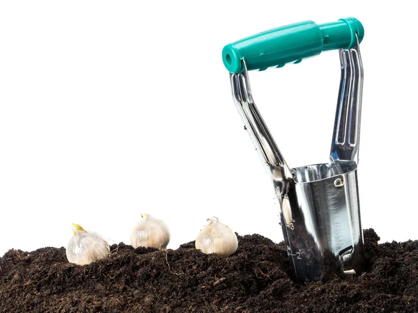 Planting — Stock Photo, Image