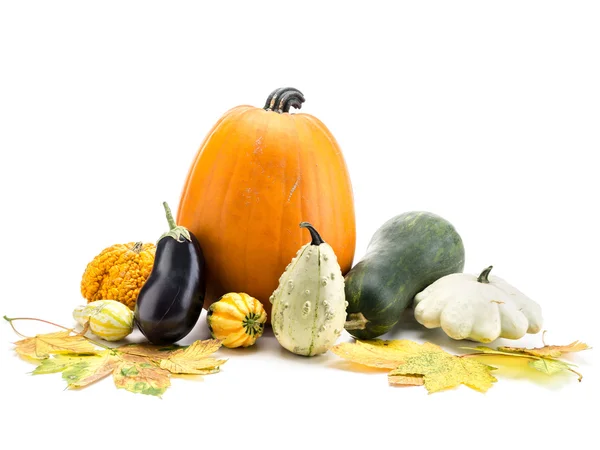 Cultivos de otoño — Foto de Stock