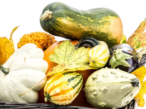 Autumn crops — Stock Photo, Image