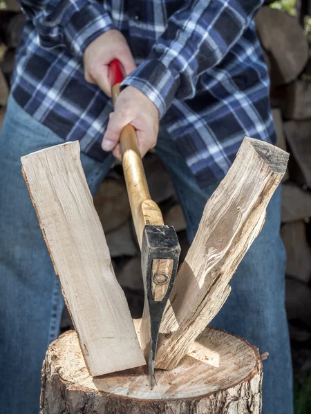 Baumfällarbeiten — Stockfoto