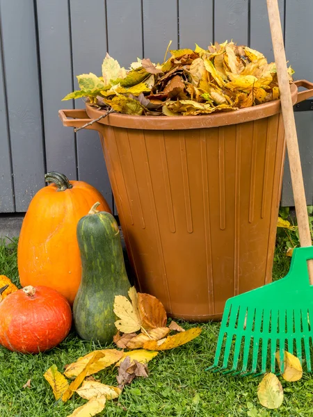 Autumn garden cleaning — Stock Photo, Image
