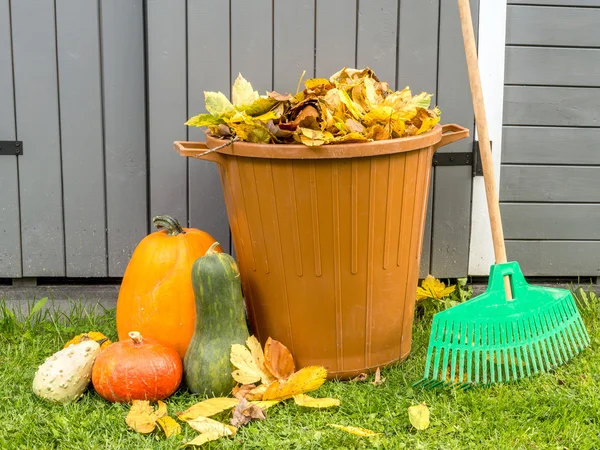 Őszi kert takarítás — Stock Fotó