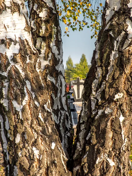 Croce di pietra tombale al cimitero — Foto Stock