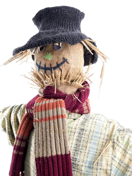 Closeup of scarecrow Royalty Free Stock Images