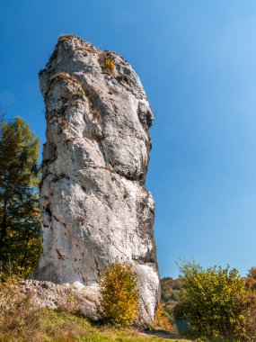 Maczuga Herkulesa, Polonya