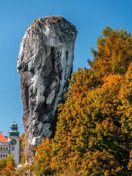 Castelo em pieskowa skala — Fotografia de Stock