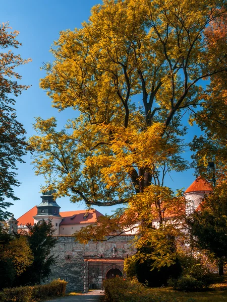Κάστρο στη Σκάλα pieskowa城堡在 pieskowa 斯卡拉 — Φωτογραφία Αρχείου