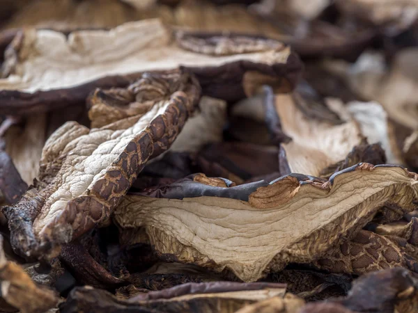 Αποξηραμένα μανιτάρια bolete — Φωτογραφία Αρχείου