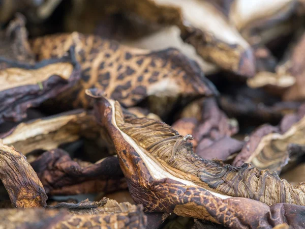 Αποξηραμένα μανιτάρια bolete — Φωτογραφία Αρχείου