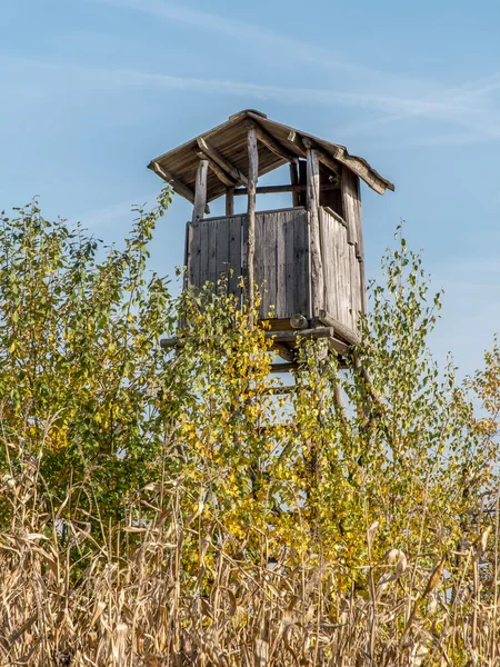 Trä rådjur blind — Stockfoto