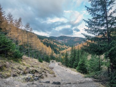 Yüksek Tatra Alp turistik iz