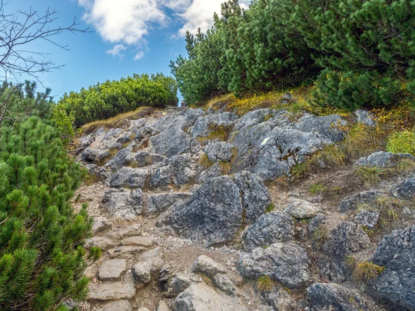 Alpejskim szlaku turystycznych w Tatry Wysokie — Zdjęcie stockowe