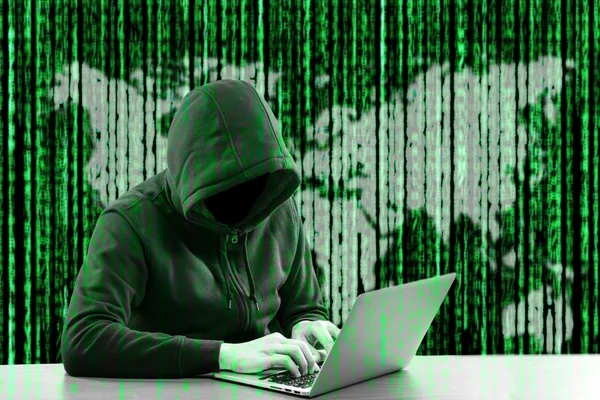 Hackerlar programcı bakmak ve veri kesmek bilgi ve kullanıcı hesabı için arama.