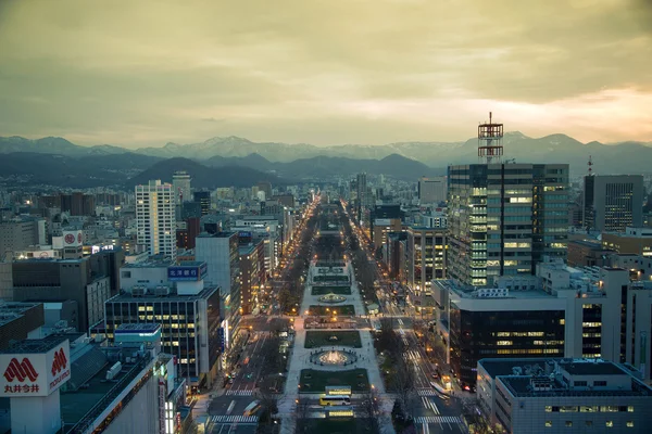 Sapporo Japan April 2016 Sapporo Tower Top View Surround Odori — Stockfoto