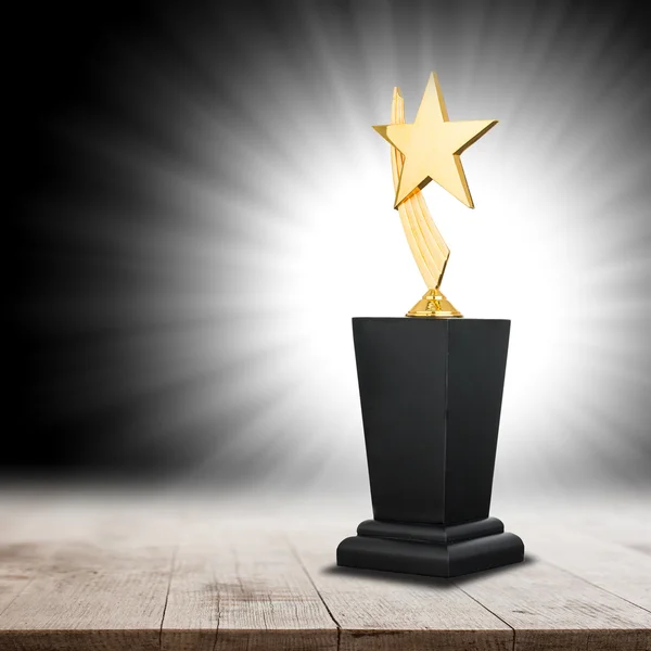 Trophy Awards Successful Winner Your Business — Stock Photo, Image