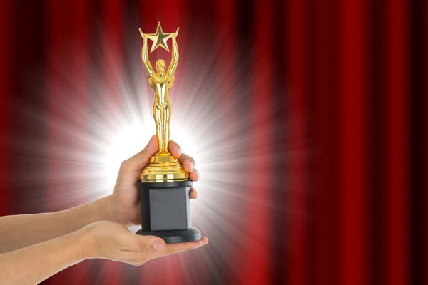 Award Trophy Winner Achievement Win Competition — Stock Photo, Image