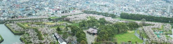 Goryokaku Park Top View Kde Hvězda Budovy Pro Chránit Město — Stock fotografie