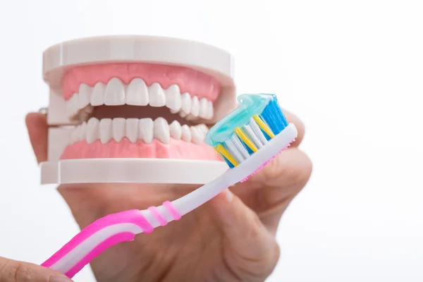 Diş fırçası bakımı — Stok fotoğraf