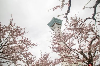 Nerede yıldız için binanın korumak şehir Goryokaku Park üst görünüm 1855 yılında inşa ve onun içinde Hakodate, Hokkaido, Japn oluşturmak için çalışan bir sürü kullanın