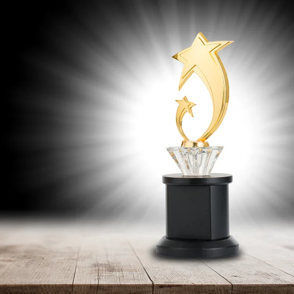 Trophy Awards Successful Winner Your Business — Stock Photo, Image