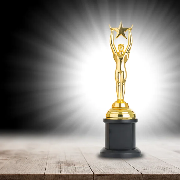 Trophy Awards Successful Winner Your Business — Stock Photo, Image