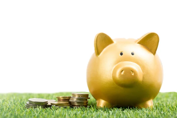 Piggy Bank Gouden Kleur Stapel Geld Tuin Buiten — Stockfoto