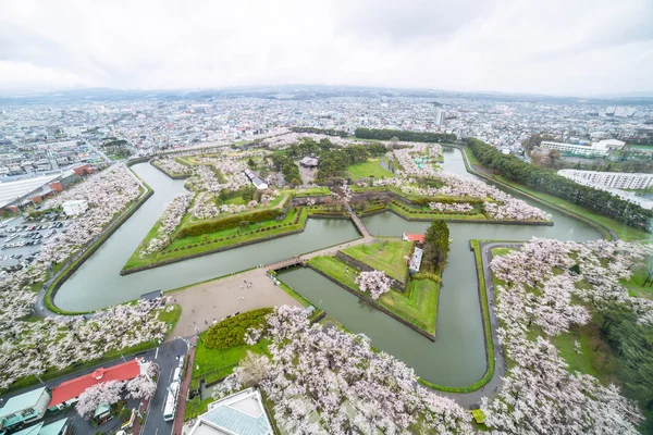 Goryokaku Park Vista Dall Alto Dove Trova Stella Della Costruzione Foto Stock