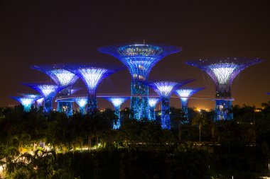 Marina Bay, Singapur-3 Haziran 2016: büyük ağaç bahçe bay tarafından. Işık gösterisi turizm gel Marina defne alanında, Singapur izlemek için.
