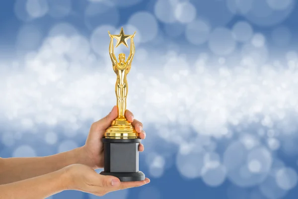 Trophy Awards Successful Winner Your Business — Stock Photo, Image