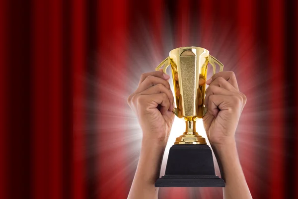 Award Trophy Winner Achievement Win Competition — Stock Photo, Image