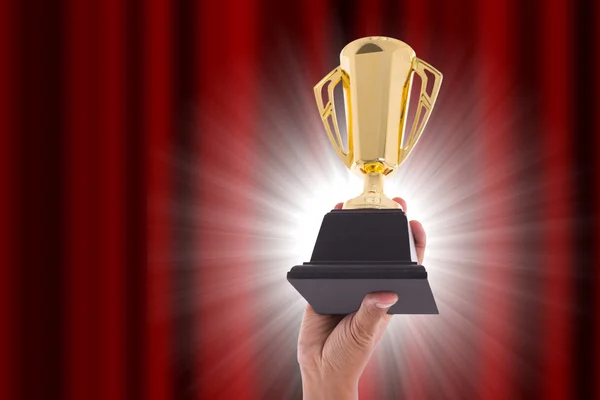 Award Trophy Winner Achievement Win Competition — Stock Photo, Image