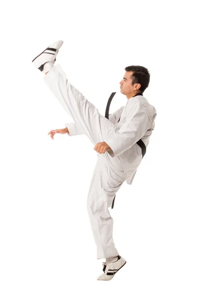 Taekwondo Seni Bela Diri Menendang Terisolasi Dengan Latar Belakang Putih — Stok Foto