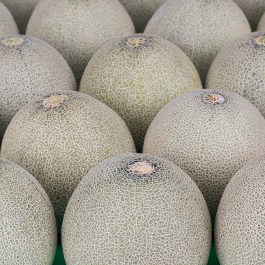 Kavun tropikal meyve bitki için sağlıklı