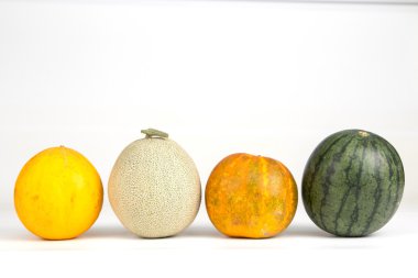 Karpuz, altın kavun, Tay kavun gibi izole kavun grubu.