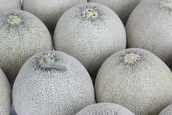 Cantaloupe Tropical Fruit Plant Your Healthy — Stock Photo, Image