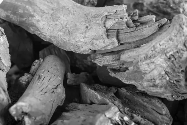 Традиционная древесина угля — стоковое фото