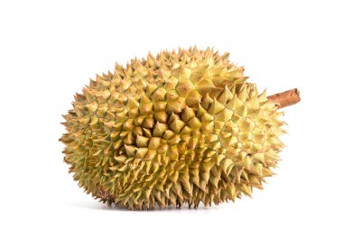 meyve Durian kralı.