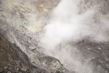 yangmingshan Milli Parkı 