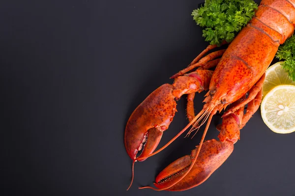 Canadian lobster food — Stock Photo, Image