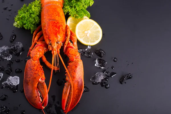 Canadian lobster food — Stock Photo, Image